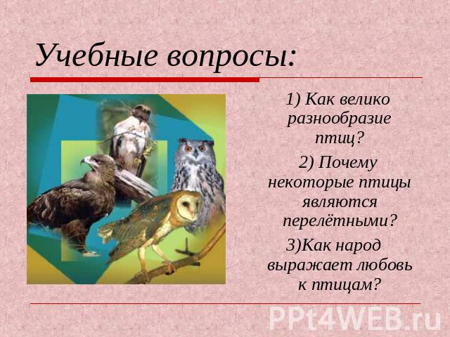 Учебные вопросы: 1) Как велико разнообразие птиц? 2) Почему некоторые птицы являются перелётными? 3)Как народ выражает любовь к птицам?