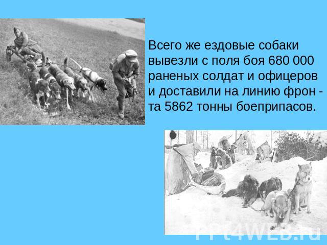 Всего же ездовые собаки вывезли с поля боя 680 000раненых солдат и офицерови доставили на линию фрон - та 5862 тонны боеприпасов.