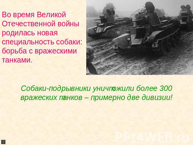 Во время Великой Отечественной войны родилась новаяспециальность собаки: борьба с вражескими танками. Собаки-подрывники уничтожили более 300 вражеских танков – примерно две дивизии!