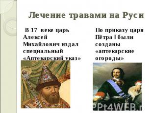 Лечение травами на Руси В 17 веке царь Алексей Михайлович издал специальный «Апт