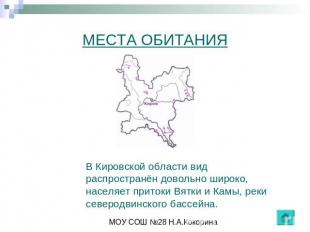 МЕСТА ОБИТАНИЯ В Кировской области вид распространён довольно широко, населяет п