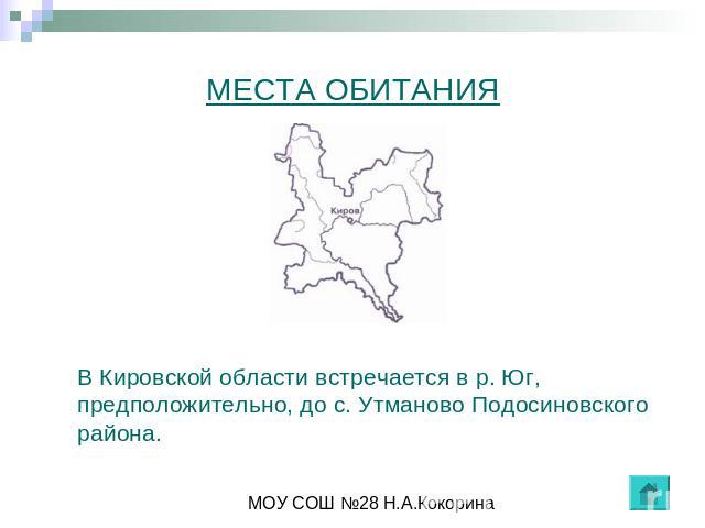 МЕСТА ОБИТАНИЯ В Кировской области встречается в р. Юг, предположительно, до с. Утманово Подосиновского района.