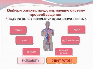 Выбери органы, представляющие систему кровообращения Задание теста с несколькими