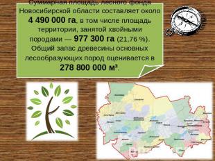 Суммарная площадь лесного фонда Новосибирской области составляет около 4 490 000