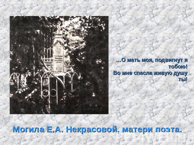 Могила Е.А. Некрасовой, матери поэта. …О мать моя, подвигнут я тобою!Во мне спасла живую душу ты!