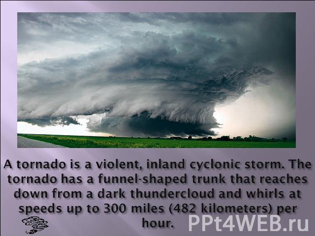A tornado is a violent, inland cyclonic storm. The tornado has a funnel-shaped trunk that reaches down from a dark thundercloud and whirls at speeds up to 300 miles (482 kilometers) per hour.