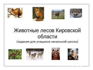 Животные лесов Кировской области(задания для учащихся начальной школы)
