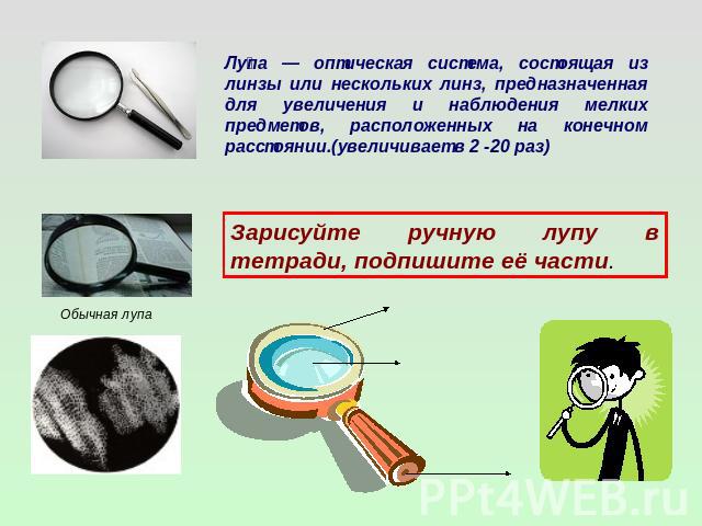 Лупа — оптическая система, состоящая из линзы или нескольких линз, предназначенная для увеличения и наблюдения мелких предметов, расположенных на конечном расстоянии.(увеличивает в 2 -20 раз)Зарисуйте ручную лупу в тетради, подпишите её части.