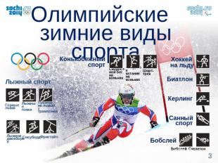 Олимпийские зимние виды спорта
