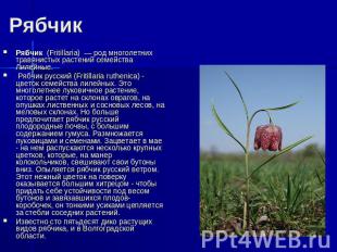 Рябчик Рябчик (Fritillaria) — род многолетних травянистых растений семейства Лил