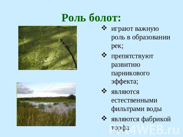 Роль болот: играют важную роль в образовании рек;препятствуют развитию парникового эффекта; являются естественными фильтрами водыявляются фабрикой торфа