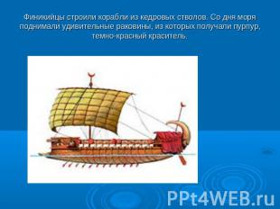 Финикийцы строили корабли из кедровых стволов. Со дня моря поднимали удивительны