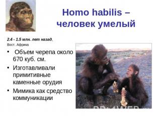 Homo habilis – человек умелый 2.4 - 1.5 млн. лет назад, Вост. Африка Объем череп