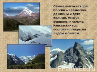 Самые высокие горы России – Кавказские, до 5000 м и даже больше. Многие вершины