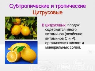 Субтропические и тропическиеЦитрусовые В цитрусовых плодах содержится много вита