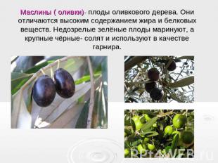 Маслины ( оливки)- плоды оливкового дерева. Они отличаются высоким содержанием ж