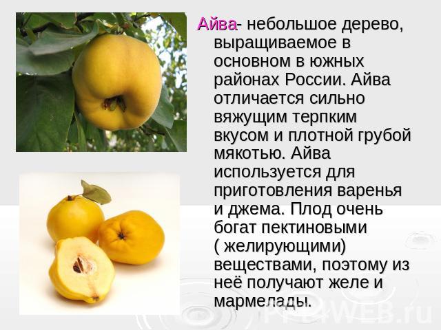 Айва- небольшое дерево, выращиваемое в основном в южных районах России. Айва отличается сильно вяжущим терпким вкусом и плотной грубой мякотью. Айва используется для приготовления варенья и джема. Плод очень богат пектиновыми ( желирующими) вещества…