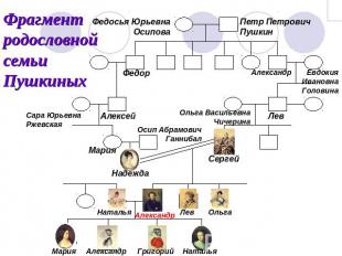 Фрагмент родословной семьи Пушкиных