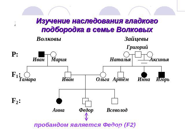 Изучение наследования гладкого подбородка в семье Волковыхпробандом является Федор (F2)