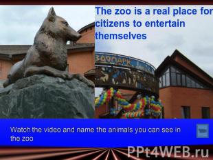 The zoo is a real place for citizens to entertain themselvesWatch the video and