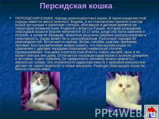 Персидская кошка ПЕРСИДСКАЯ КОШКА, порода длинношерстных кошек. В происхождении