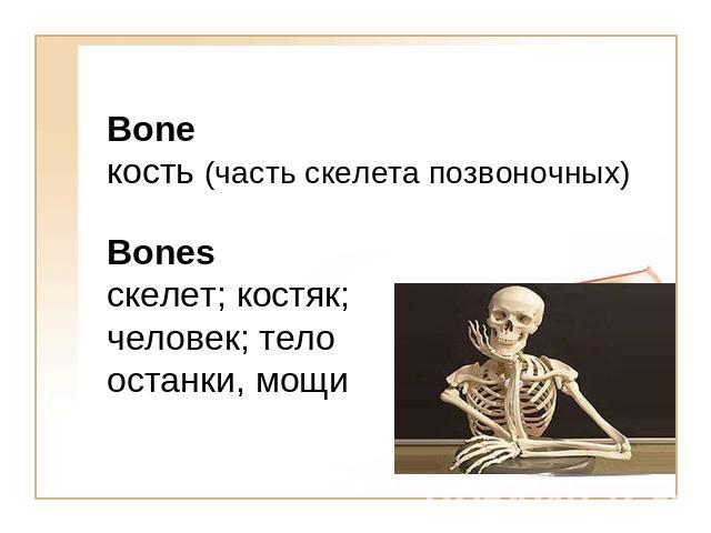 Bone кость (часть скелета позвоночных)Bonesскелет; костяк; человек; телоостанки, мощи