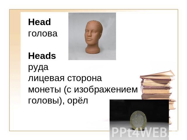 HeadголоваHeadsрудалицевая сторона монеты (с изображением головы), орёл