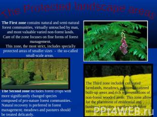 The Protected landscape areas The First zone contains natural and semi-natural f