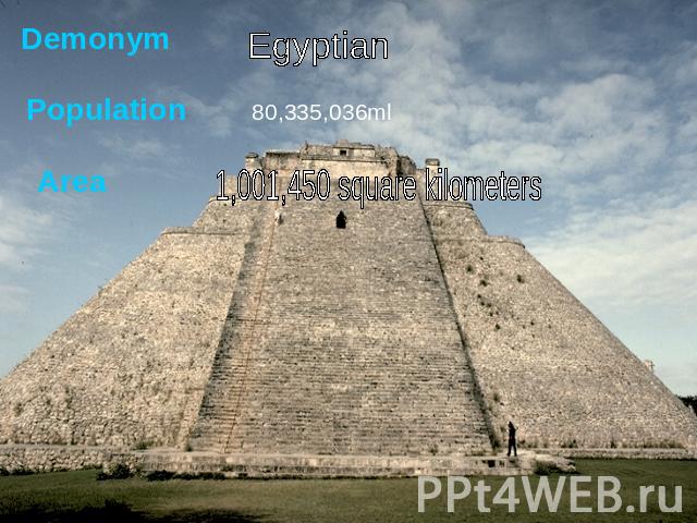 Demonym Population Area Egyptian 80,335,036ml 1,001,450 square kilometers