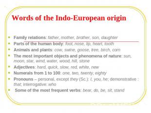 Words of the Indo-European origin Family relations: father, mother, brother, son