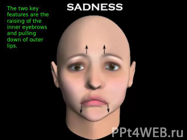 The two key features are the raising of the inner eyebrows and pulling down of outer lips.