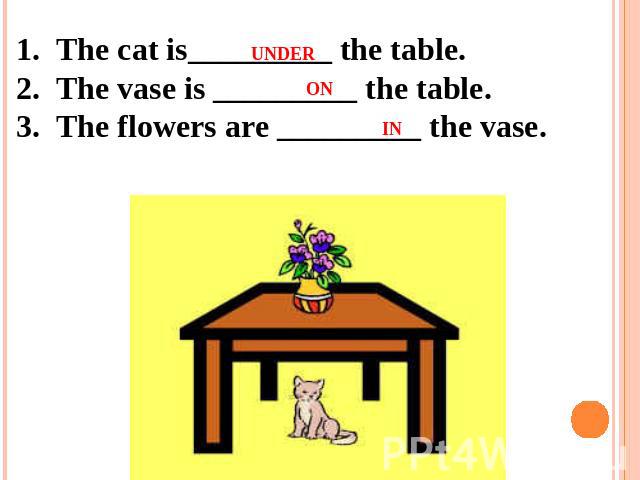 1.  The cat is_________ the table. 2.  The vase is _________ the table. 3.  The flowers are _________ the vase.  