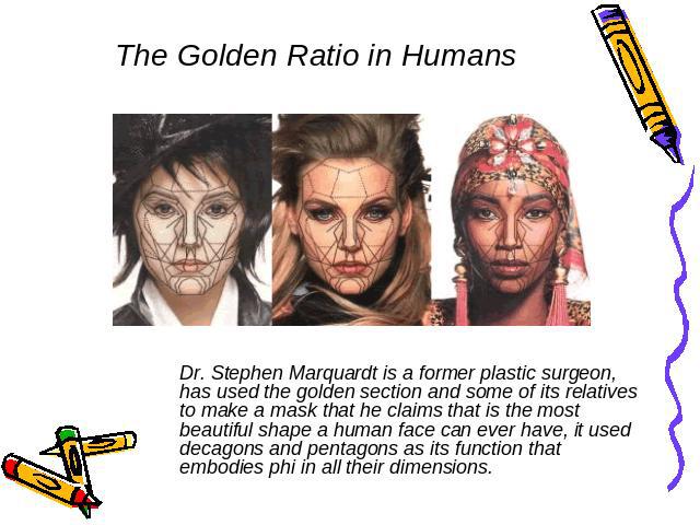 The Golden Ratio in Humans Dr. Stephen Marquardt is a former plastic surgeon, has used the golden section and some of its relatives to make a mask that he claims that is the most beautiful shape a human face can ever have, it used decagons and penta…