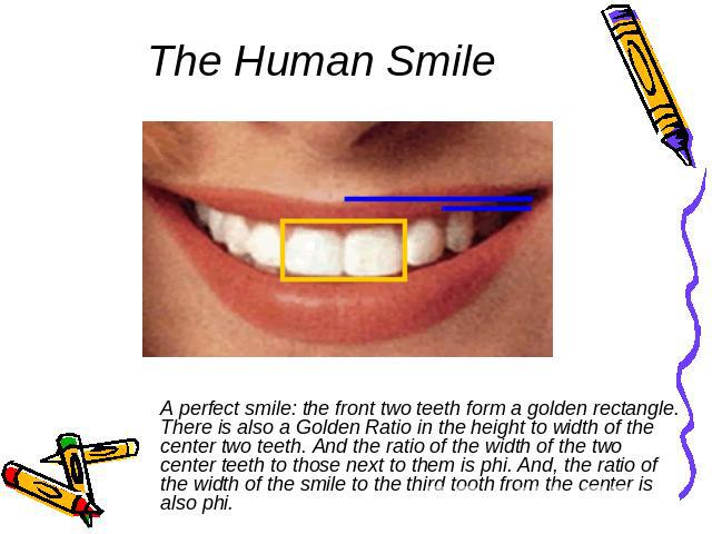 The Human Smile A perfect smile: the front two teeth form a golden rectangle. There is also a Golden Ratio in the height to width of the center two teeth. And the ratio of the width of the two center teeth to those next to them is phi. And, the rati…