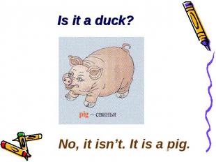 Is it a duck? No, it isn’t. It is a pig.