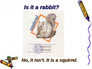 Is it a rabbit? No, it isn’t. It is a squirrel.