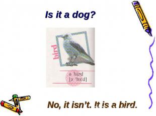 Is it a dog? No, it isn’t. It is a bird.