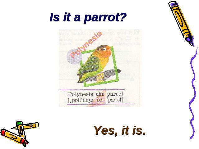 Is it a parrot? Yes, it is.