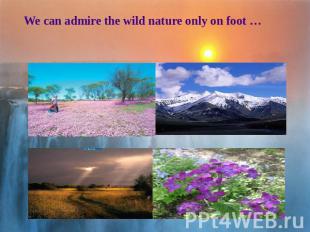 We can admire the wild nature only on foot …