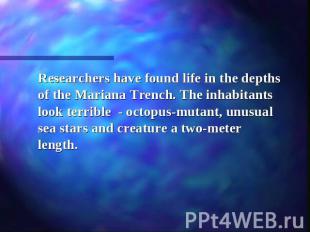 Researchers have found life in the depths of the Mariana Trench. The inhabitants