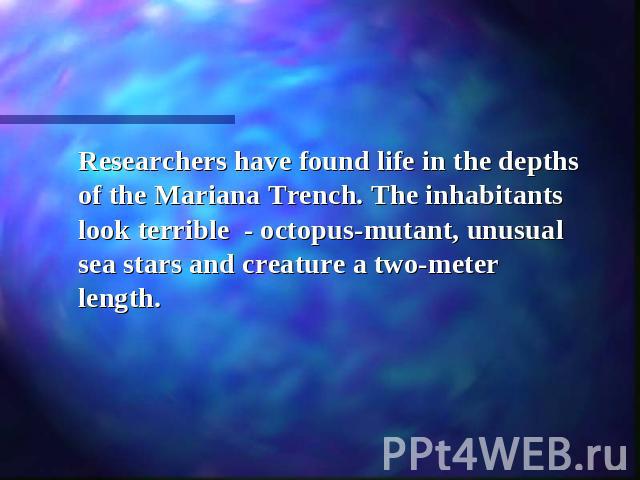 Researchers have found life in the depths of the Mariana Trench. The inhabitants look terrible - octopus-mutant, unusual sea stars and creature a two-meter length.