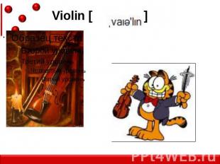 Violin [ ]