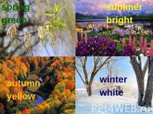 springgreen summerbright autumnyellow winterwhite