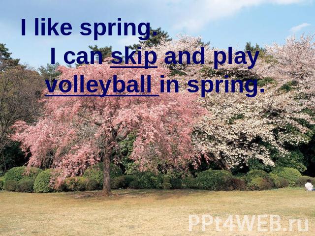 I like spring. I can skip and play volleyball in spring.