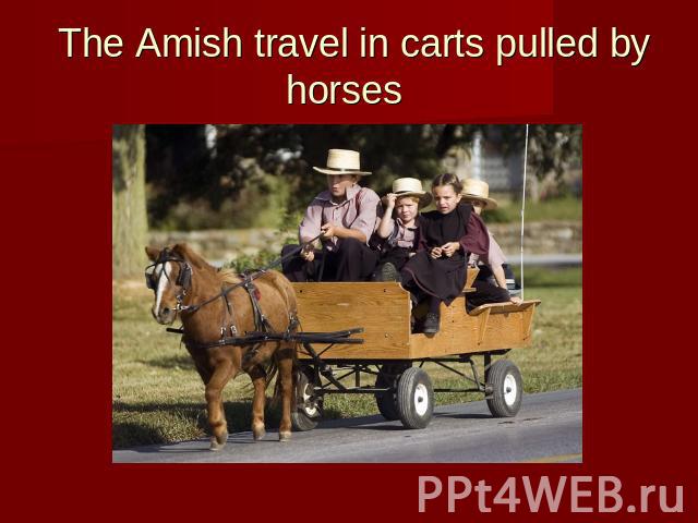 The Amish travel in carts pulled by horses
