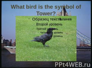What bird is the symbol of Tower?