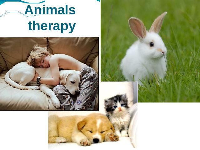 Animals therapy