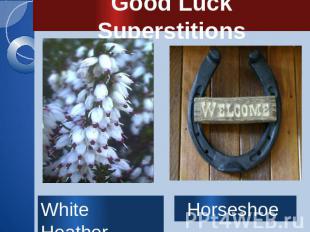 Good Luck Superstitions White Heather Horseshoe