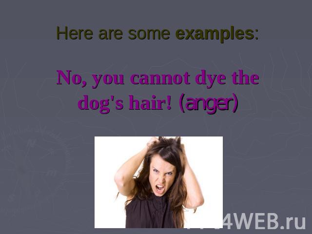 Here are some examples:No, you cannot dye the dog's hair! (anger)