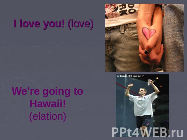 I love you! (love) We're going to Hawaii! (elation)